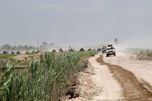 Армия Ирака освободила от ИГ районы южнее города Эль-Фаллуджи - ảnh 1